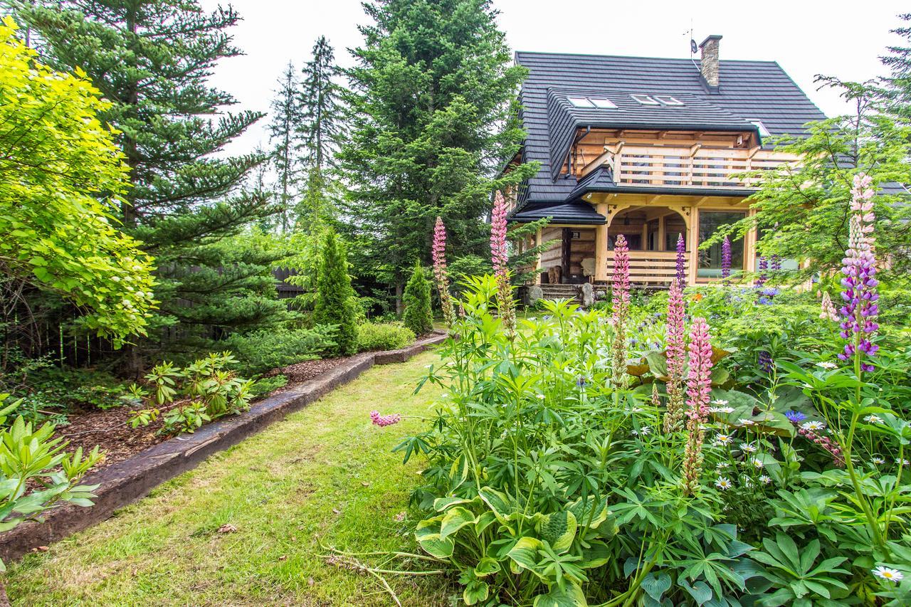 Apartamenty Bialy Potok Witow  Exterior photo